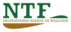 NTF