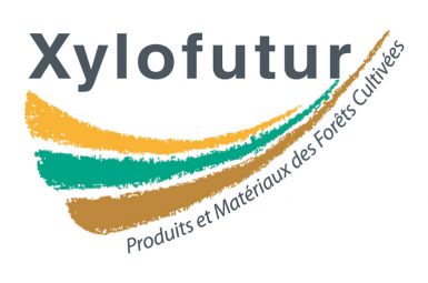 Xylofutur
