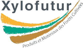 La WoodTech et Xylofutur