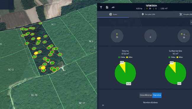 Timbtrack — territoire et statistiques par essence